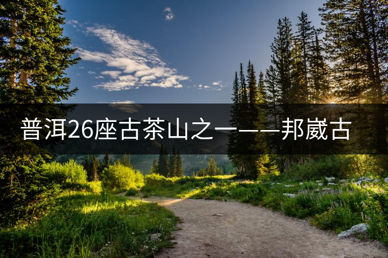 普洱26座古茶山之一——邦崴古茶山 普洱26座古茶山之一——邦崴古茶山