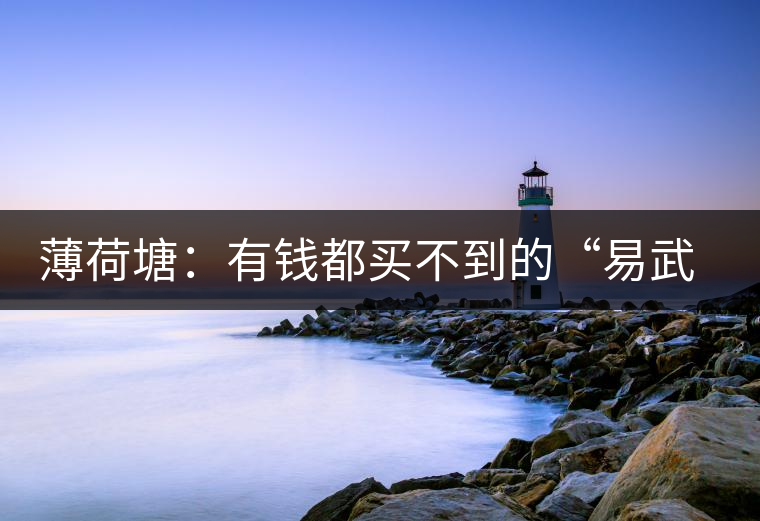 薄荷塘：有錢都買不到的“易武貴胄”，卓爾不群，無茶可及