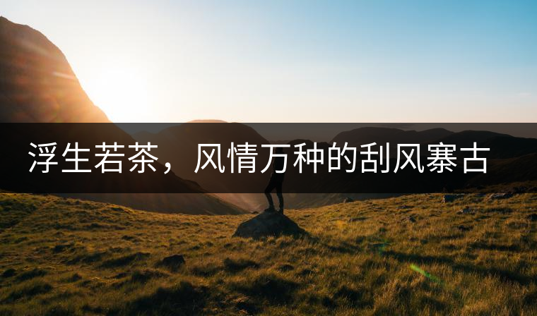 浮生若茶，風(fēng)情萬種的刮風(fēng)寨古樹茶