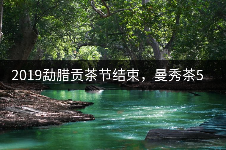 2019勐臘貢茶節(jié)結(jié)束，曼秀茶5公斤107萬奪得金獎