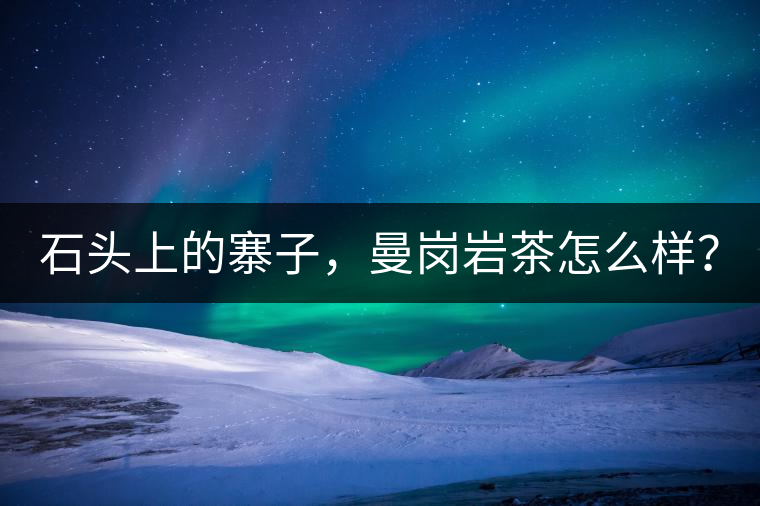 石頭上的寨子，曼崗巖茶怎么樣？