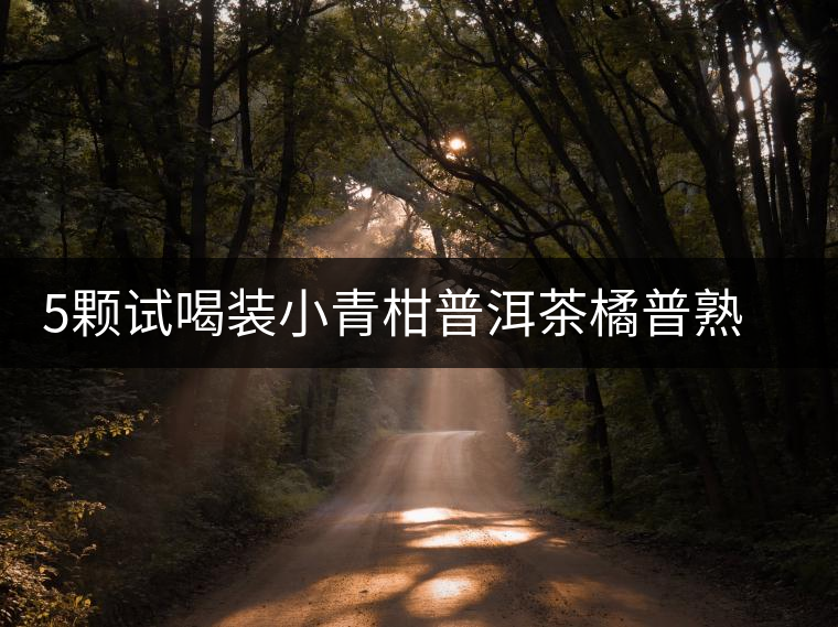 5顆試喝裝小青柑普洱茶橘普熟茶陳皮普洱新會(huì)小金桔茶葉禮盒裝