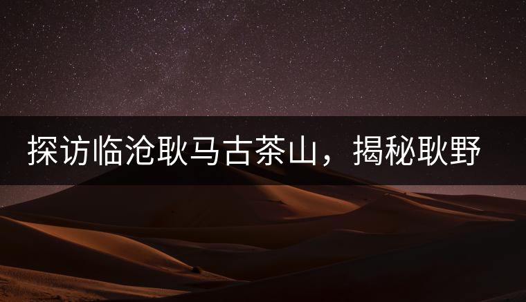 探訪臨滄耿馬古茶山，揭秘耿野生古茶樹群落