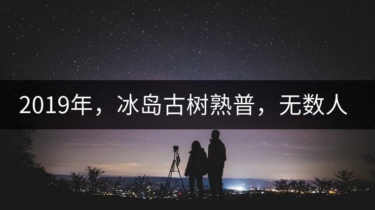 2019年，冰島古樹熟普，無數(shù)人在尋找