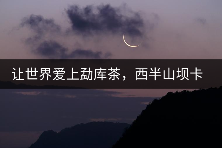 讓世界愛上勐庫茶，西半山壩卡古樹茶特點(diǎn)介紹