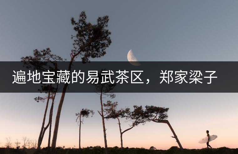 遍地寶藏的易武茶區(qū)，鄭家梁子荒田村古樹茶介紹