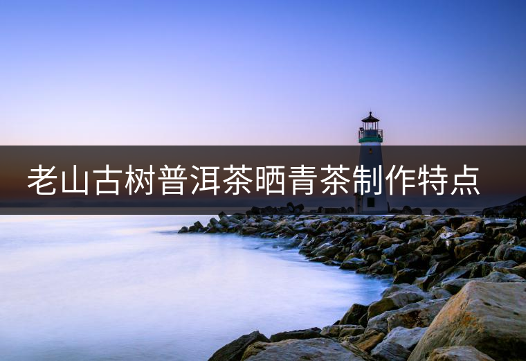 老山古樹(shù)普洱茶曬青茶制作特點(diǎn)方法介紹 老山古樹(shù)普洱茶曬青茶制作特點(diǎn)方法介紹