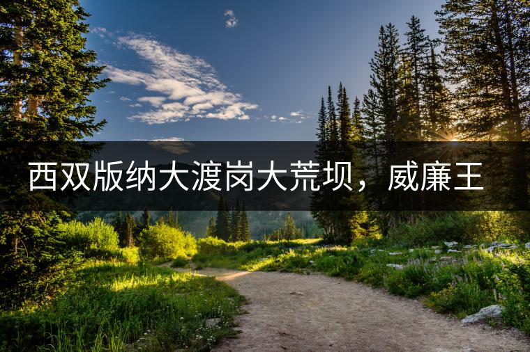 西雙版納大渡崗大荒壩，威廉王子曾經(jīng)到過的古樹茶山