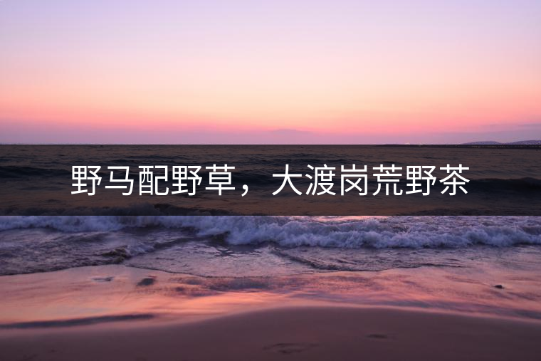 野馬配野草，大渡崗荒野茶