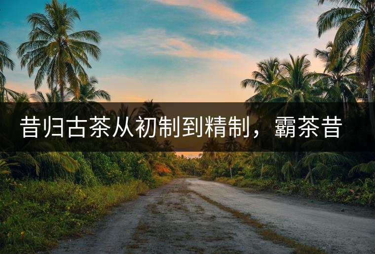 昔歸古茶從初制到精制，霸茶昔歸茶農(nóng)專業(yè)合作社成立