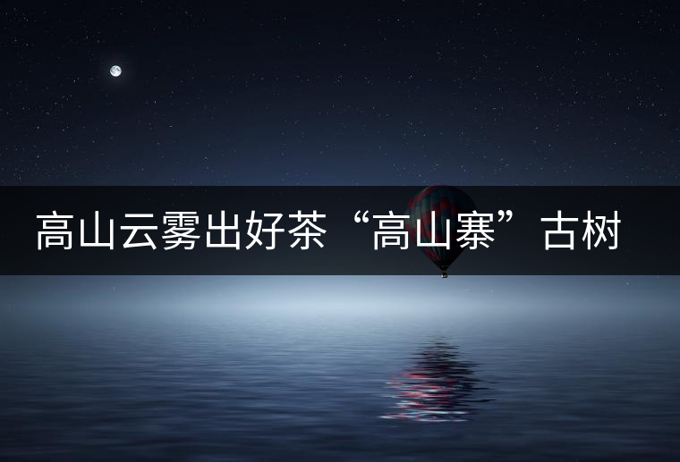 高山云霧出好茶“高山寨”古樹(shù)茶高海拔的獨(dú)特品質(zhì)