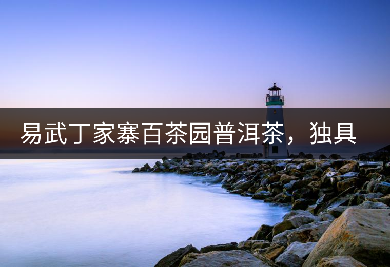 易武丁家寨百茶園普洱茶，獨具魅力的原始古樹茶