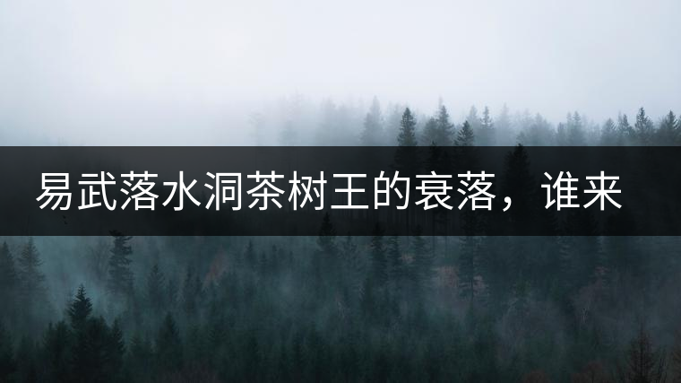 易武落水洞茶樹王的衰落，誰來關(guān)注古樹茶？