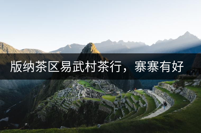 版納茶區(qū)易武村茶行，寨寨有好茶處處古茶香