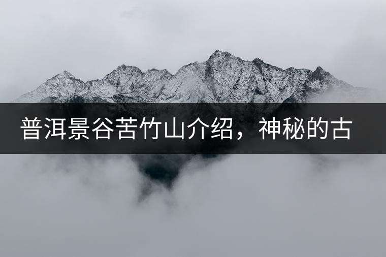 普洱景谷苦竹山介紹，神秘的古樹普洱茶原產(chǎn)地