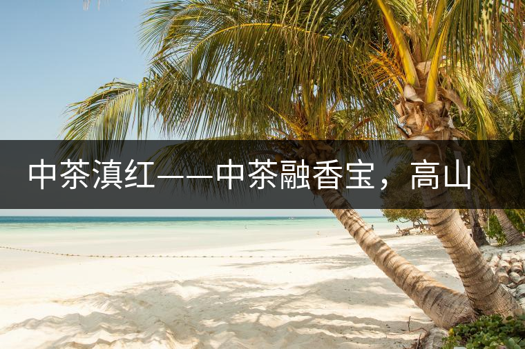 中茶滇紅——中茶融香寶，高山烏龍茶