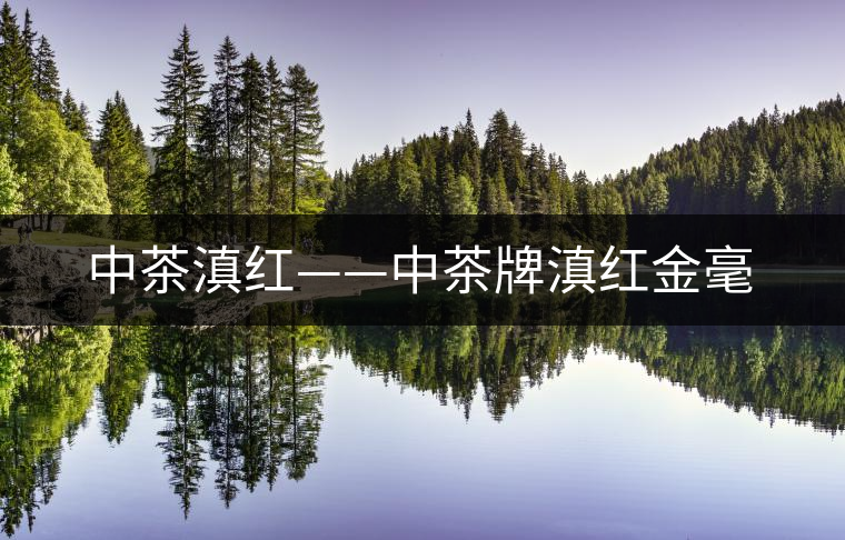 中茶滇紅——中茶牌滇紅金毫 中茶滇紅——中茶牌滇紅金毫