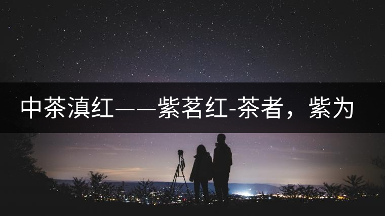 中茶滇紅——紫茗紅-茶者，紫為上