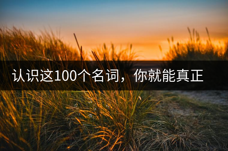 認(rèn)識這100個(gè)名詞，你就能真正了解普洱茶？