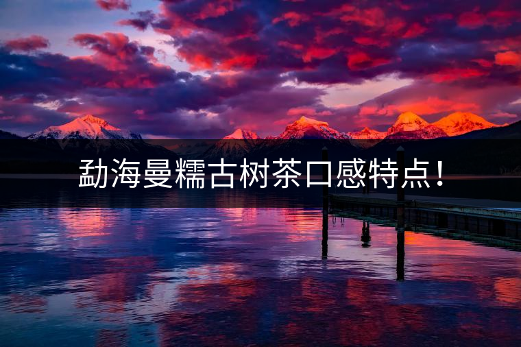 勐海曼糯古樹茶口感特點(diǎn)！