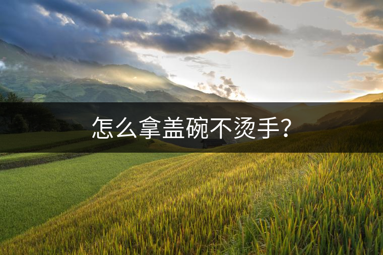 怎么拿蓋碗不燙手？