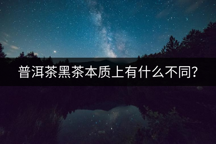 普洱茶黑茶本質(zhì)上有什么不同？