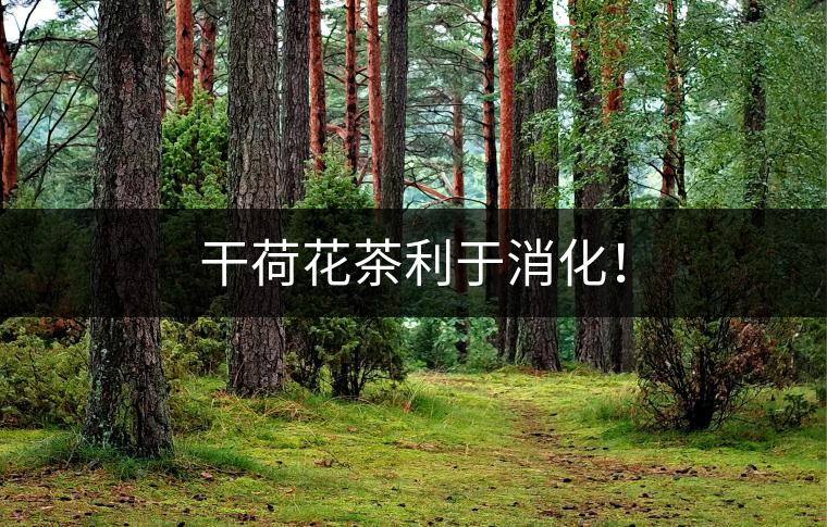 干荷花茶利于消化！