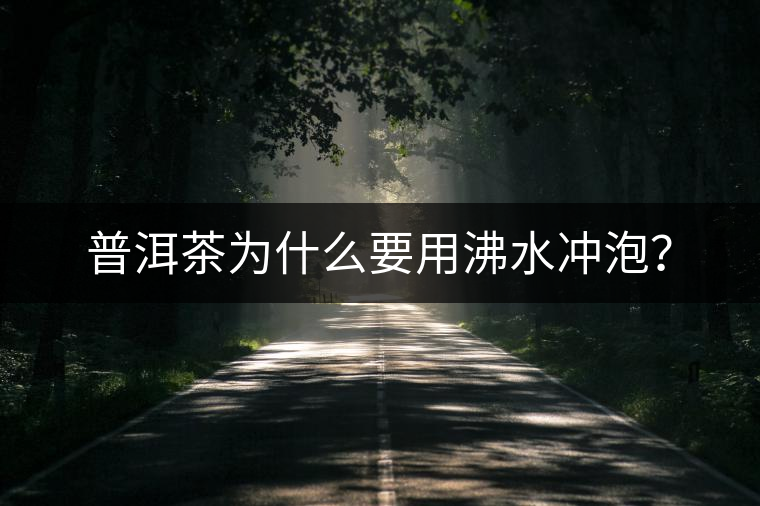 普洱茶為什么要用沸水沖泡? 普洱茶為什么要用沸水沖泡?