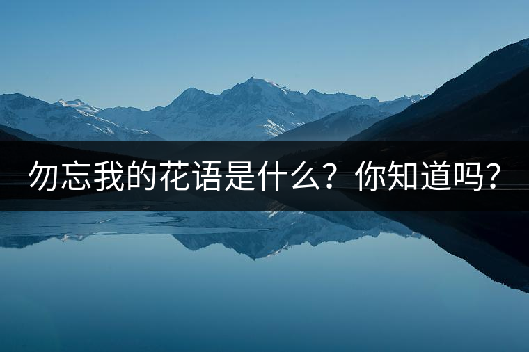勿忘我的花語(yǔ)是什么？你知道嗎？