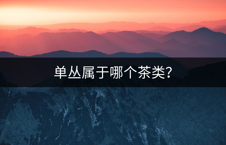 單叢屬于哪個茶類？