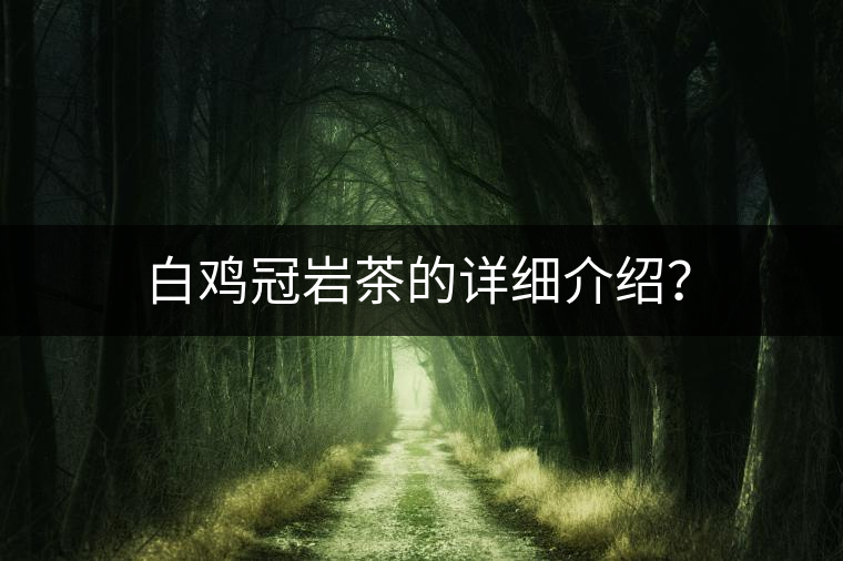白雞冠巖茶的詳細(xì)介紹? 白雞冠巖茶的詳細(xì)介紹?