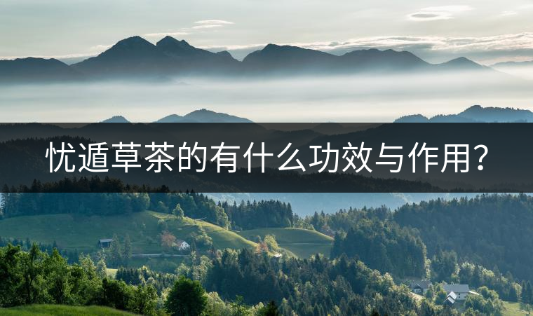 憂遁草茶的有什么功效與作用？