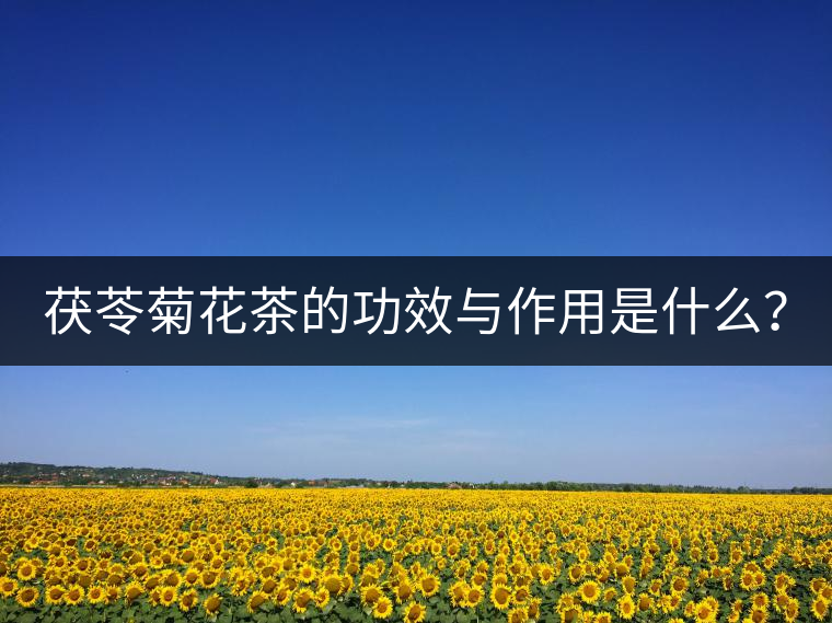 茯苓菊花茶的功效與作用是什么？