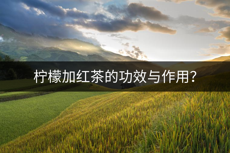 檸檬加紅茶的功效與作用？