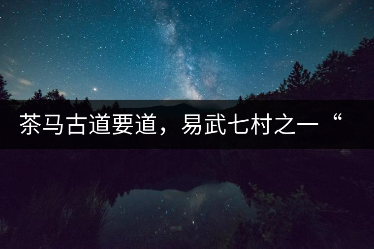 茶馬古道要道，易武七村之一“張家灣”古茶園