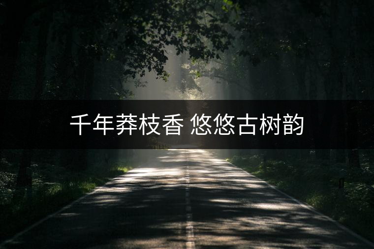 千年莽枝香 悠悠古樹韻 千年莽枝香 悠悠古樹韻