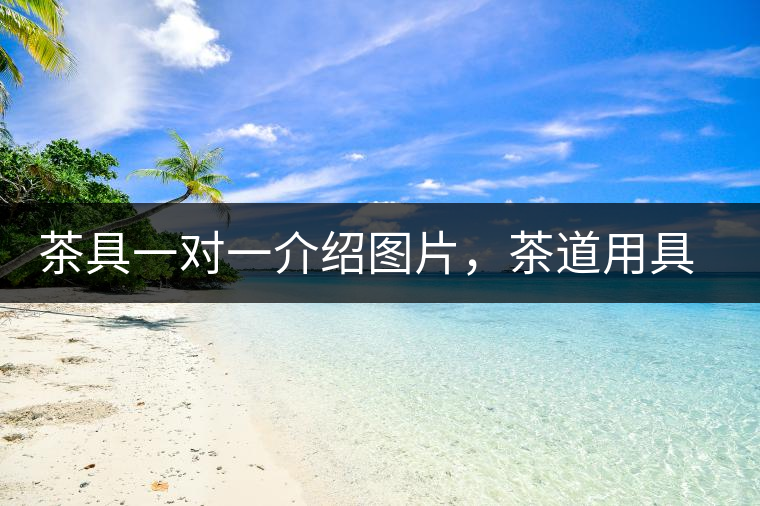 茶具一對(duì)一介紹圖片，茶道用具圖解