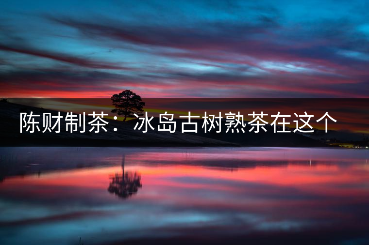 陳財制茶：冰島古樹熟茶在這個世界真的存在嗎？