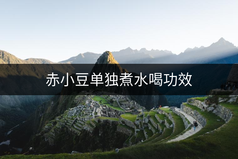 赤小豆單獨煮水喝功效 赤小豆單獨煮水喝功效