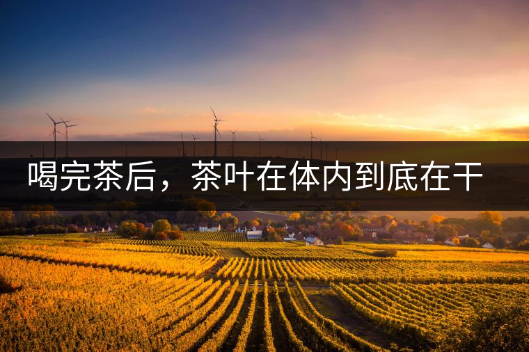 喝完茶后，茶葉在體內(nèi)到底在干嘛，游走的茶水