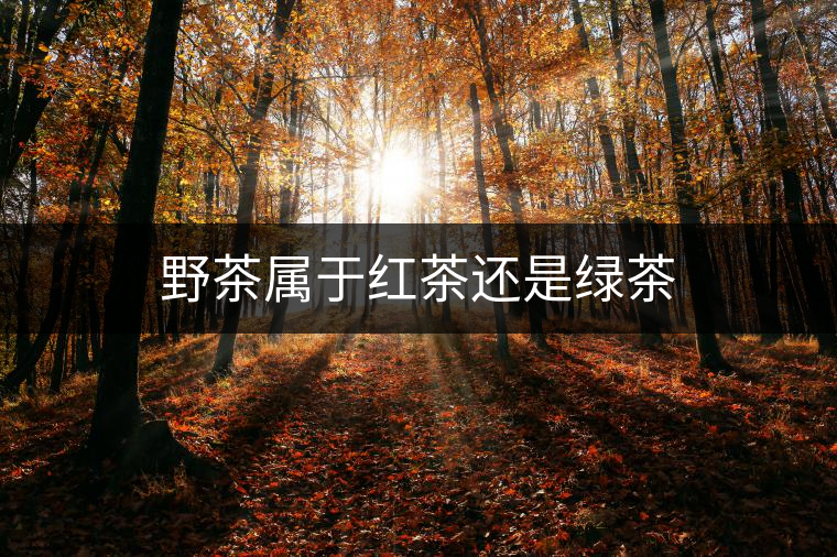 野茶屬于紅茶還是綠茶 野茶屬于紅茶還是綠茶