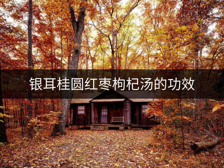 銀耳桂圓紅棗枸杞湯的功效 銀耳桂圓紅棗枸杞湯的功效