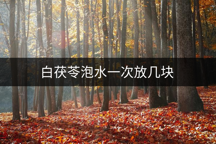 白茯苓泡水一次放幾塊