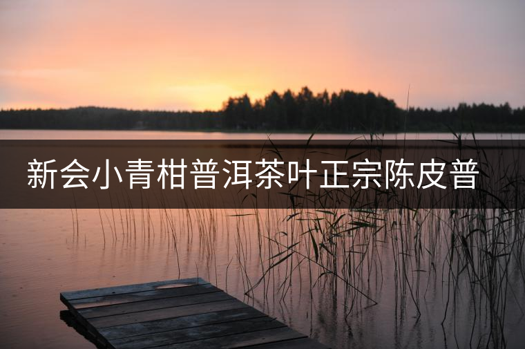 新會小青柑普洱茶葉正宗陳皮普洱茶熟茶桔普茶小柑橘普茶柑普茶
