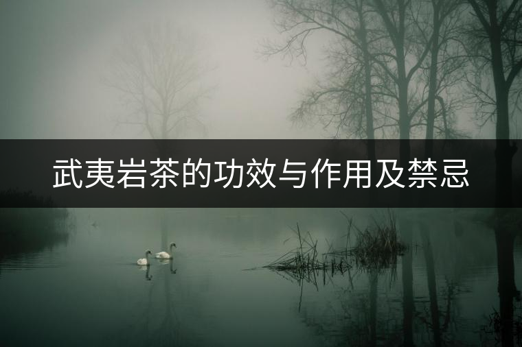 武夷巖茶的功效與作用及禁忌