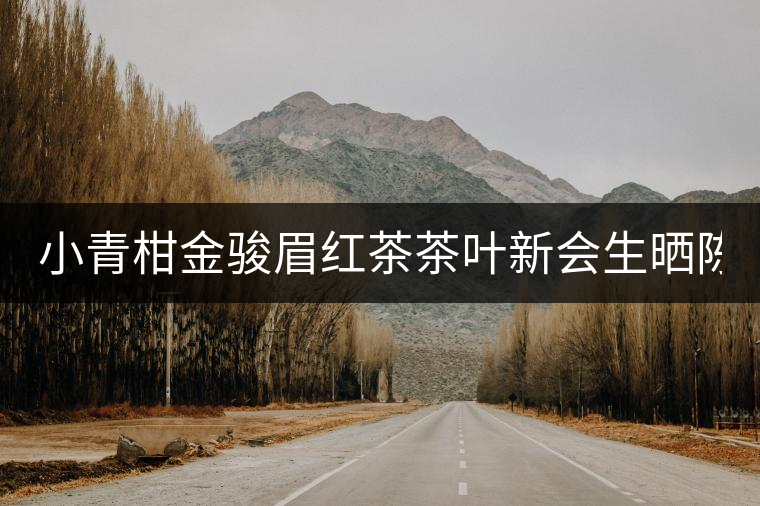 小青柑金駿眉紅茶茶葉新會(huì)生曬陳皮2020武夷濃香型木冠散裝罐裝 小青柑金駿眉紅茶茶葉新會(huì)生曬陳皮2020武夷濃香型木冠散裝罐裝