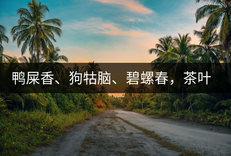 鴨屎香、狗牯腦、碧螺春，茶葉到底是如何被命名的
