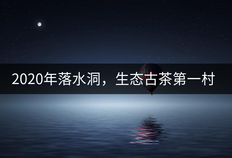 2020年落水洞，生態(tài)古茶第一村-易武中聘號(hào)