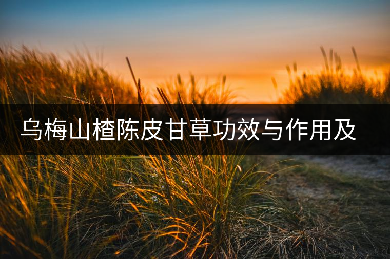 烏梅山楂陳皮甘草功效與作用及食用方法 烏梅山楂陳皮甘草功效與作用及食用方法