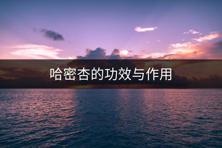 哈密杏的功效與作用 哈密杏的功效與作用